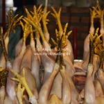 Alle Hühner in Reih und Glied auf dem Markt in Chiang Mai / Thailand